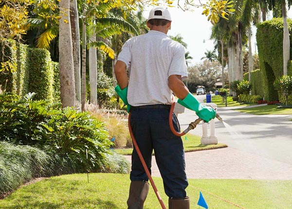 About Elmhurst NY Pest Control Pros